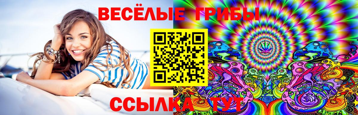 Псилоцибиновые грибы мицелий  Вход с VPN  Трёхгорный  хочу наркоту  Псилоцибиновые грибы Magic Shrooms 